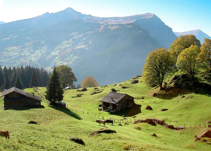 Abendrot Apartments-12 By Interhome 그린델발트